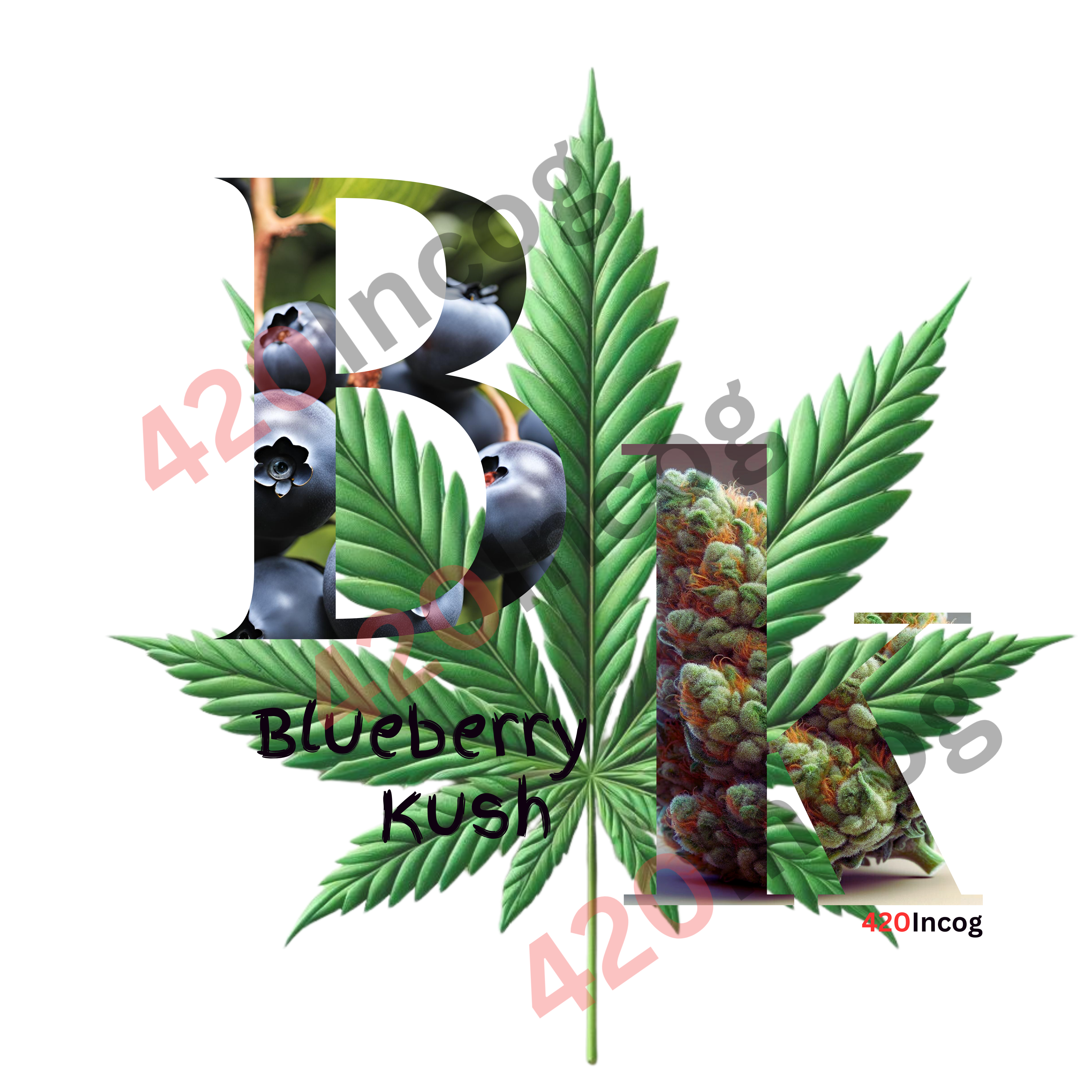 Blueberry Kush